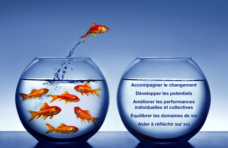 Coaching particuliers. Accompagner le changement. Développer les potentiels. Améliorer les performances individuelles et collectives. Equilibrer les domaines de vie. Aider à réfléchir sur soi. Coaching Paris centre. Coach 75013 Paris.