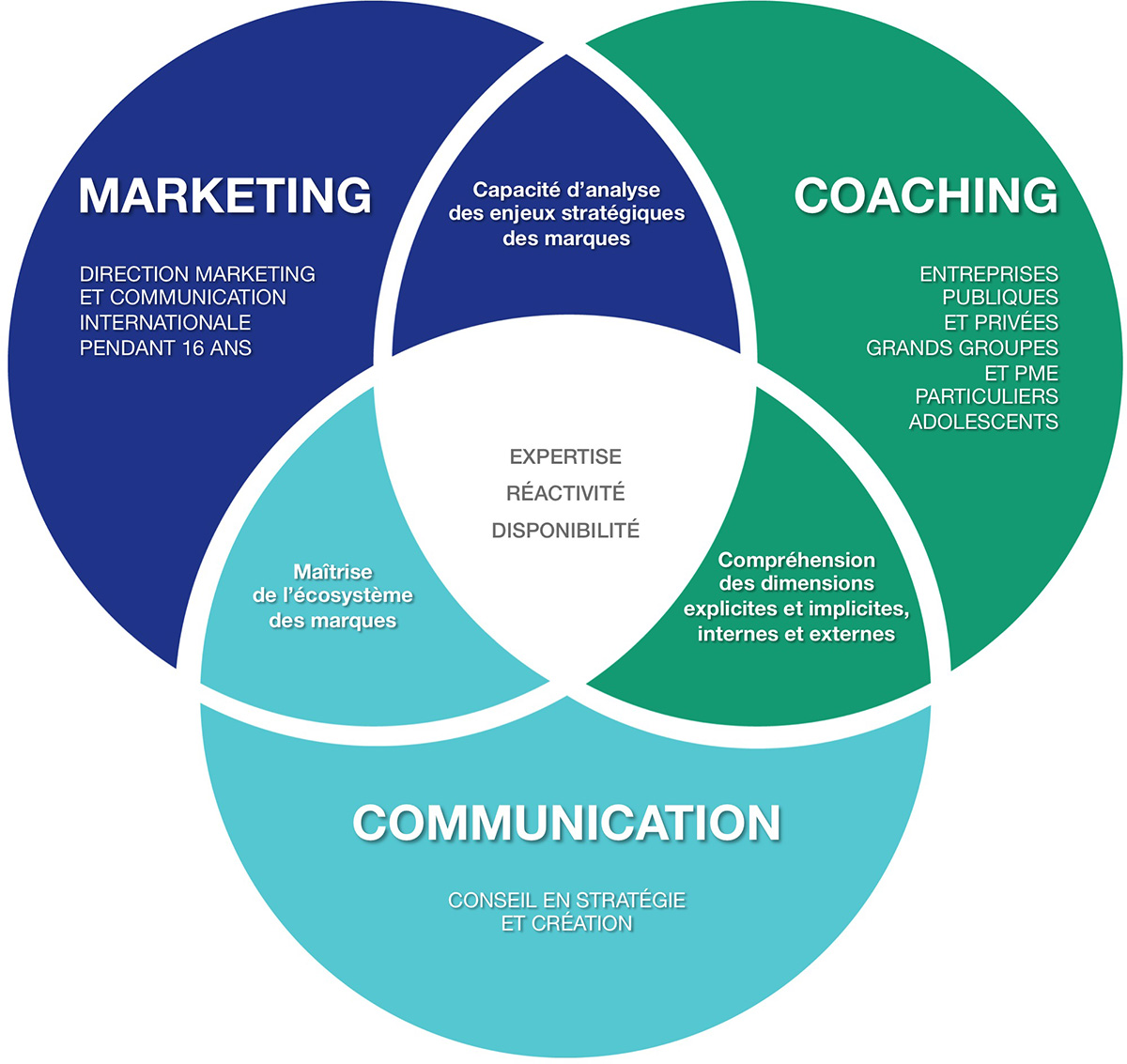 Marketing : capacité d'analyse des enjeux stratégiques des marques. Communication : maîtrise de l'écosystème des marques. Coaching : compréhension des dimensions explicite et implicites, internes et externes.