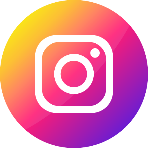 icône instagram